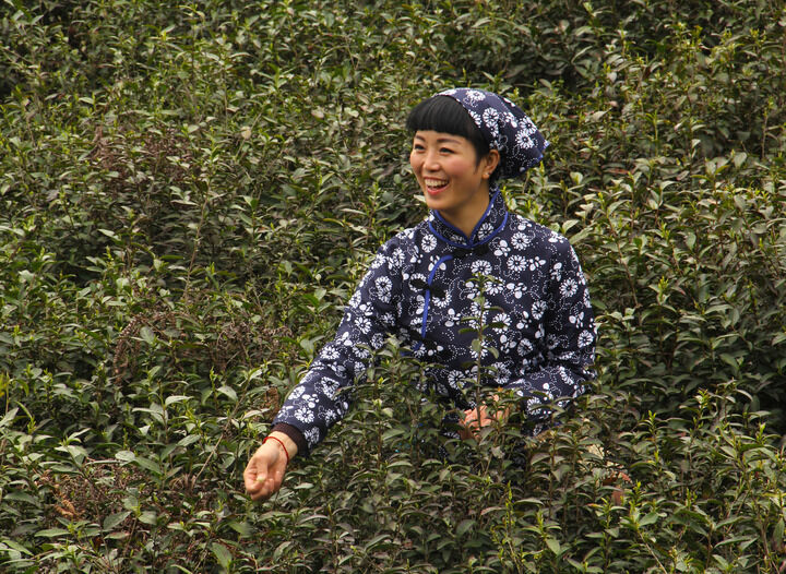 TOP8 百丽官·边缘